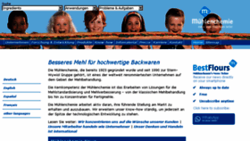 What Muehlenchemie.de website looked like in 2017 (6 years ago)