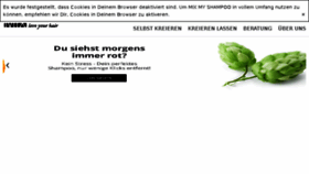 What Mixmyshampoo.de website looked like in 2017 (6 years ago)