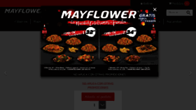 What Mayflower.com.ec website looked like in 2017 (6 years ago)