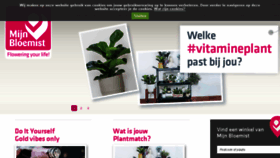 What Mijnbloemist.nl website looked like in 2018 (6 years ago)
