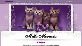 What Millamoravia.cz website looked like in 2018 (6 years ago)