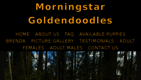 What Morningstargoldendoodles.com website looked like in 2018 (6 years ago)