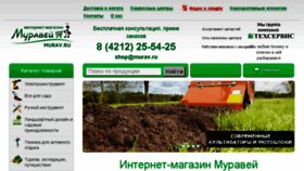 What Murav.ru website looked like in 2018 (6 years ago)