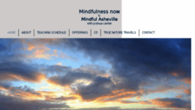 What Mindfulasheville.com website looked like in 2018 (5 years ago)