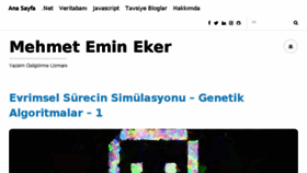 What Mehmetemineker.com website looked like in 2018 (6 years ago)