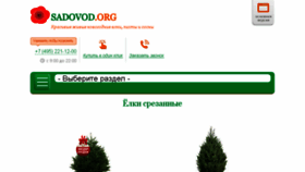 What M.sadovod.org website looked like in 2018 (6 years ago)