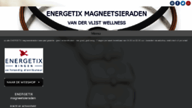 What Magneetsieraden.nu website looked like in 2018 (6 years ago)