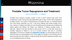 What Mizznina.com website looked like in 2018 (5 years ago)