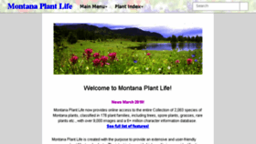 What Montana.plant-life.org website looked like in 2018 (5 years ago)