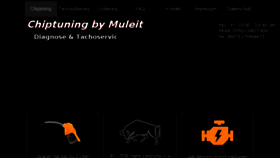 What Muleit-elektronik.de website looked like in 2018 (5 years ago)