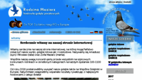 What Maziarz-pigeons.pl website looked like in 2018 (5 years ago)