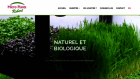 What Microplantsrobert.com website looked like in 2018 (5 years ago)