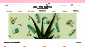 What Mrwoo.lt website looked like in 2018 (5 years ago)