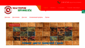 What Master-profill.ru website looked like in 2018 (5 years ago)