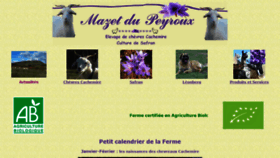 What Mazetdupeyroux.fr website looked like in 2019 (5 years ago)