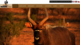 What Malumalodge-safari.com website looked like in 2019 (5 years ago)