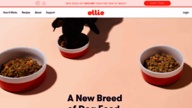 What Myollie.com website looked like in 2019 (5 years ago)