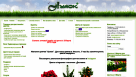 What Magazincvetov.kz website looked like in 2019 (5 years ago)