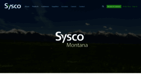 What Mtsysco.com website looked like in 2019 (5 years ago)