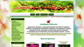 What Magnolia45.ru website looked like in 2019 (5 years ago)