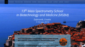 What Msbm.org website looked like in 2019 (5 years ago)
