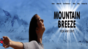 What Mountainbreeze.in website looked like in 2019 (4 years ago)