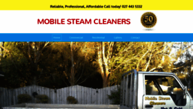 What Mobilesteamcleaners.net.nz website looked like in 2019 (4 years ago)