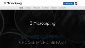 What Micropiping.com website looked like in 2019 (4 years ago)