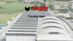 What Magris.com website looked like in 2019 (4 years ago)