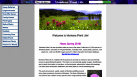 What Montana.plant-life.org website looked like in 2019 (4 years ago)