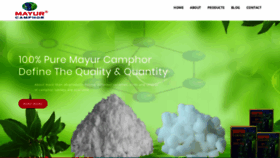 What Mayurcamphor.com website looked like in 2019 (4 years ago)