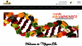 What Magnessa.com website looked like in 2019 (4 years ago)