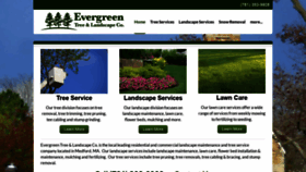 What Masstreeandlandscape.com website looked like in 2019 (4 years ago)
