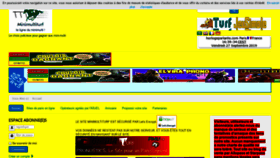 What Minimultiturf.com website looked like in 2019 (4 years ago)