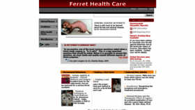 What Miamiferret.org website looked like in 2019 (4 years ago)