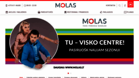 What Molas.lt website looked like in 2019 (4 years ago)