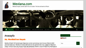 What Mevlana.com website looked like in 2019 (4 years ago)