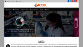 What Metepol.com website looked like in 2019 (4 years ago)