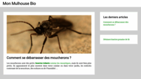 What Monmulhousebio.fr website looked like in 2019 (4 years ago)