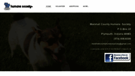 What Mchsshelter.org website looked like in 2019 (4 years ago)