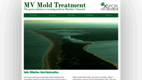 What Mvmoldtreatment.com website looked like in 2019 (4 years ago)