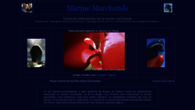What Marine-marchande.net website looked like in 2019 (4 years ago)