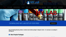 What Mylabindia.com website looked like in 2019 (4 years ago)