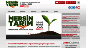 What Mersintarimfuari.com website looked like in 2019 (4 years ago)