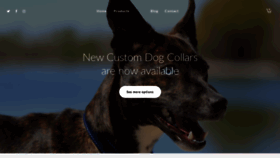 What Metropetsupply.com website looked like in 2019 (4 years ago)