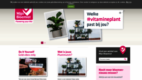 What Mijnbloemist.nl website looked like in 2019 (4 years ago)