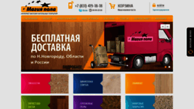 What Magia-pola.ru website looked like in 2019 (4 years ago)