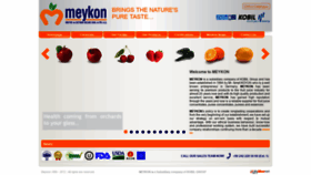 What Meykon.com website looked like in 2019 (4 years ago)