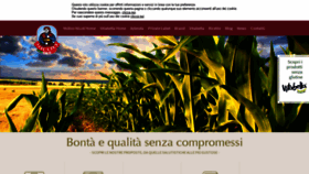 What Molinonicoli.it website looked like in 2019 (4 years ago)