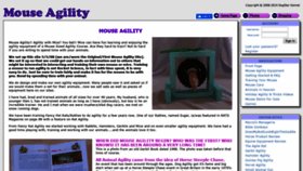 What Mouseagility.com website looked like in 2019 (6 years ago)